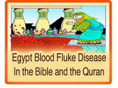 egypt blood